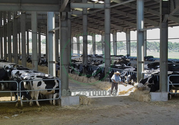 فری استال فری استال