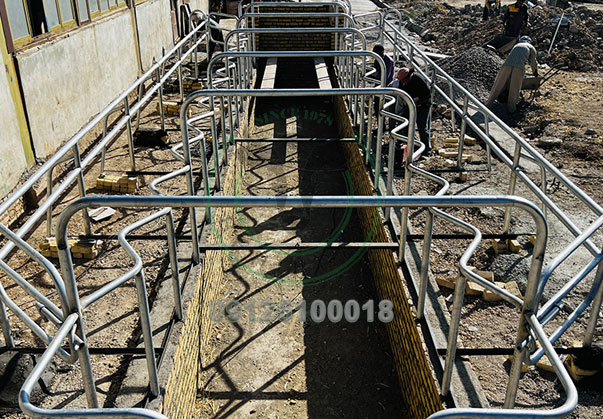 انواع فریم و باکس شیردوشی انواع فریم و باکس شیردوشی