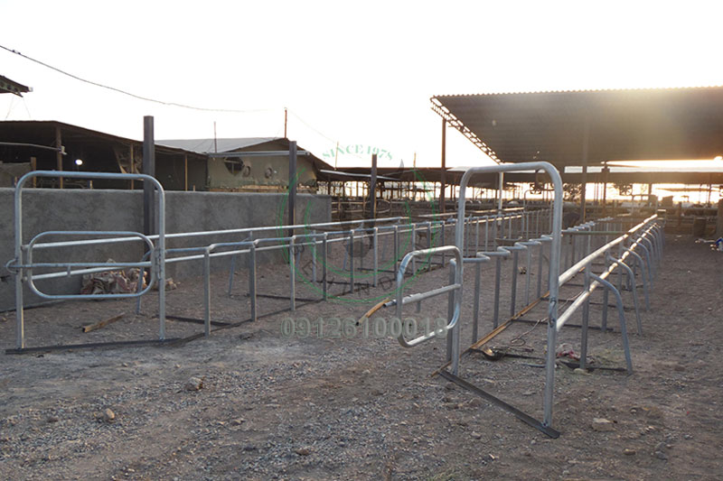 نرده واکسن نرده واکسن