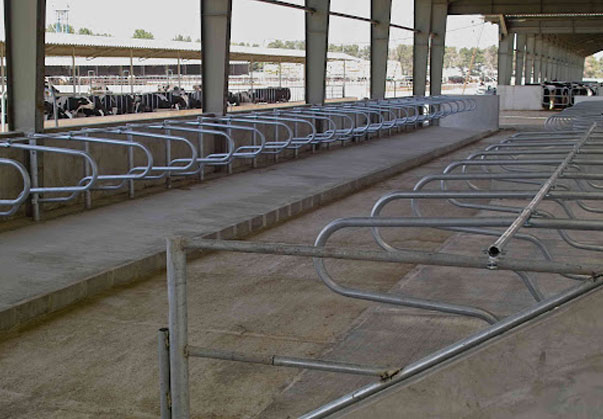 فری استال دامداری