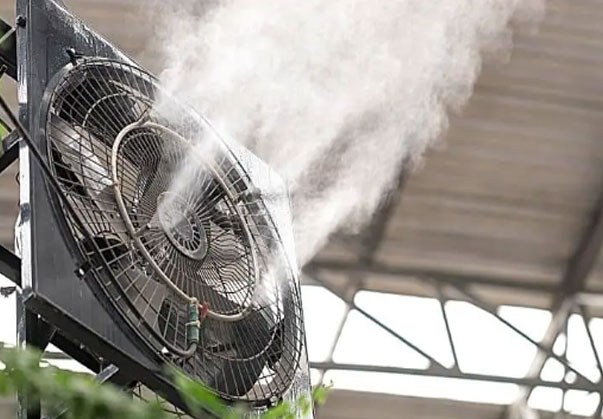 بیگ فن مه پاش؛ خنک‌کننده‌ دامداری‌ها