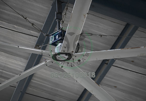 بیگ فن مه پاش؛ خنک کننده دامداری ها