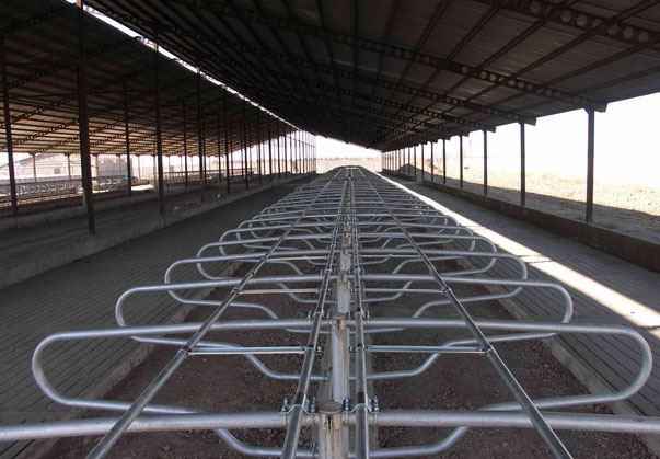 فری استال و تولیدکننده تجهیزات دامداری