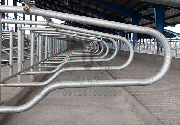 فری استال و تولیدکننده تجهیزات دامداری