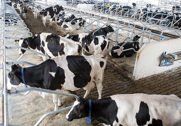 درب بهار بند