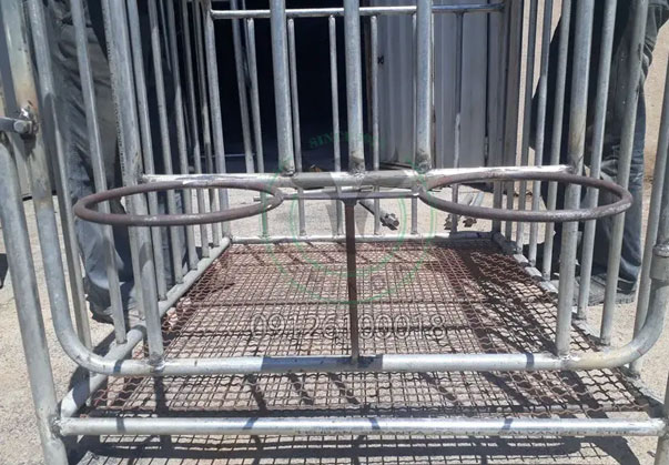 باکس پرورش گوساله باکس پرورش گوساله