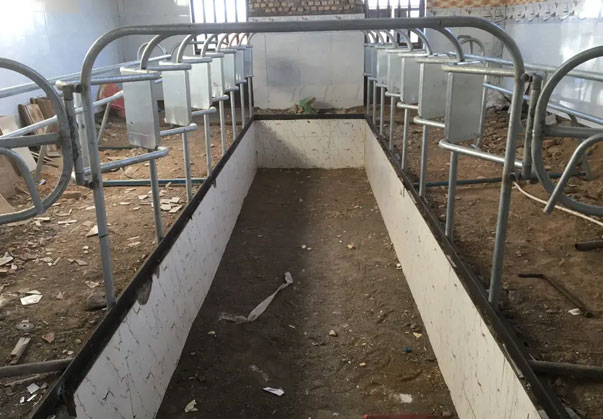 خرید فریم شیردوشی صنعتی