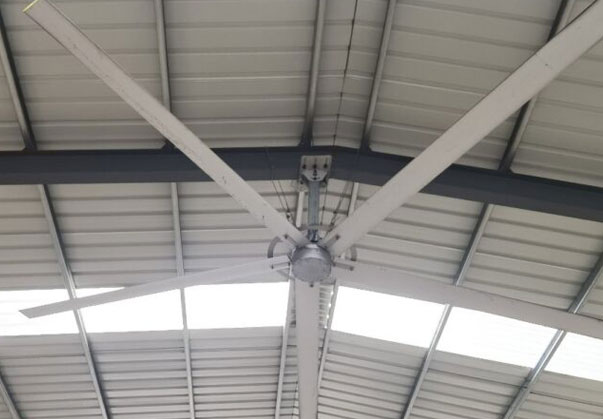 خرید پنکه سقفی خرید پنکه سقفی