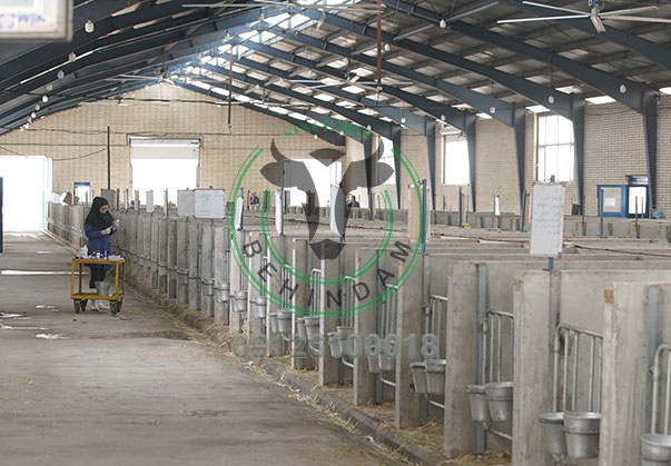 تجهیزات گاوداری تجهیزات گاوداری