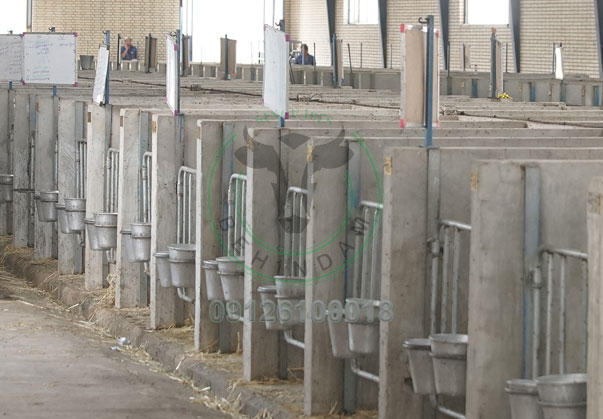 تولید کننده انواع تجهیزات گاوداری