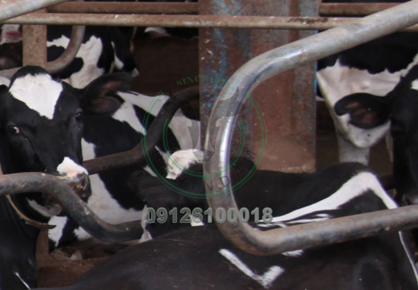 خرید تجهیزات دامداری